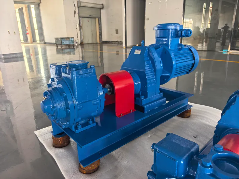 Fuel Rotary Pump